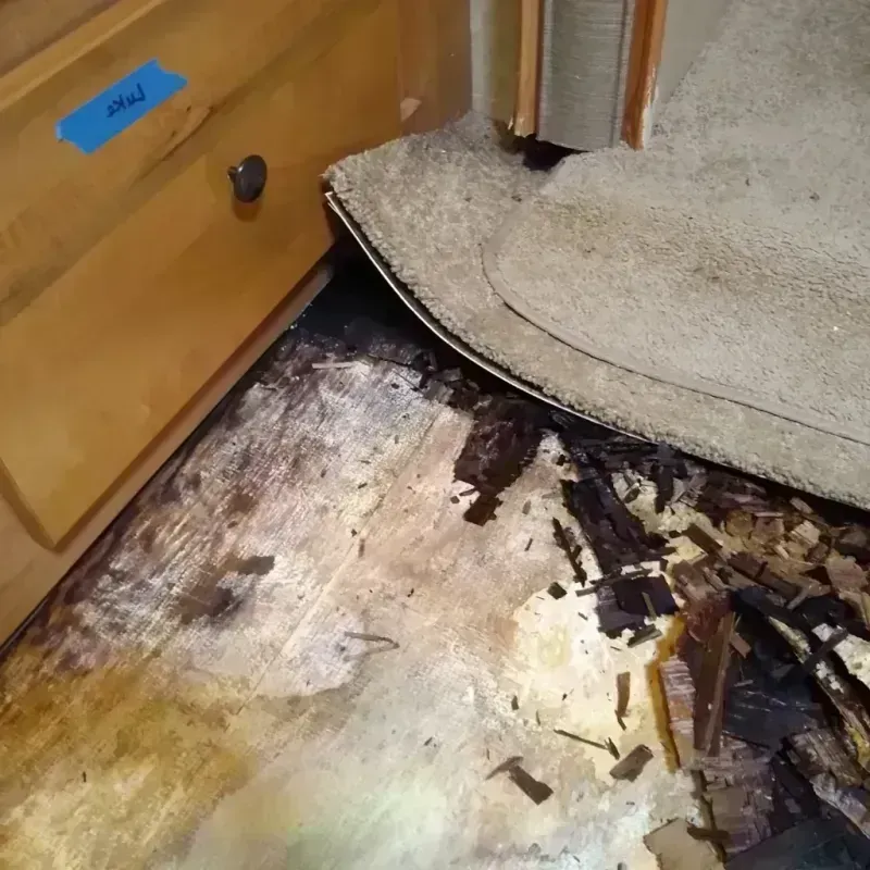 Wood Floor Water Damage in Winter Haven, FL